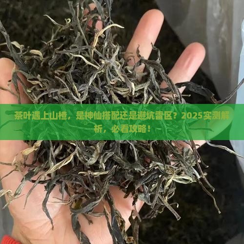 茶叶能与山楂一起泡吗