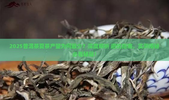 普洱茶夏茶产量最少 普洱茶夏茶产量最少