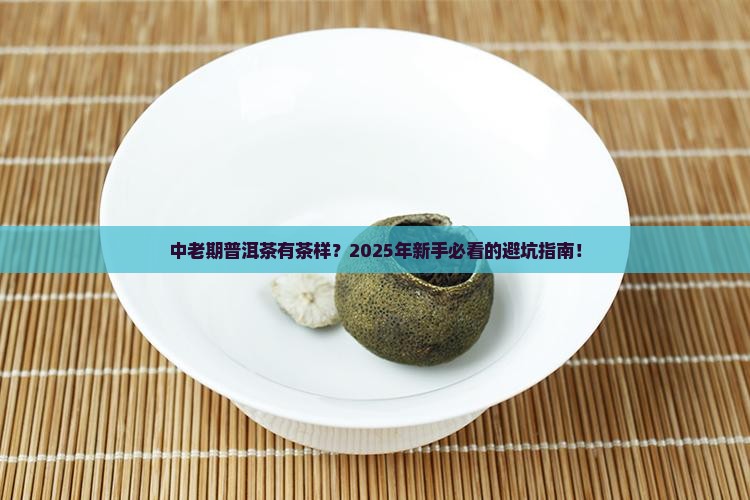 中老期普洱茶有茶样