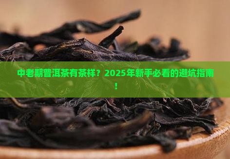 中老期普洱茶有茶样