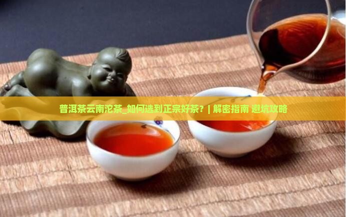 普洱茶云南沱茶