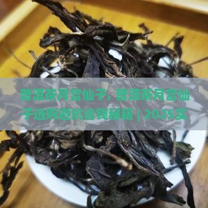 普洱茶月宫仙子