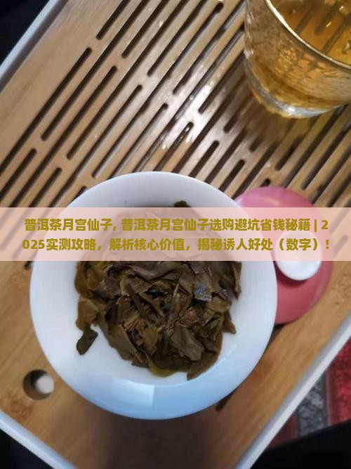 普洱茶月宫仙子