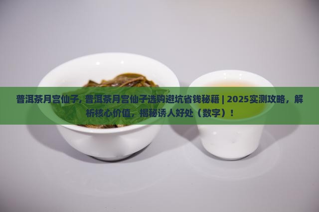 普洱茶月宫仙子
