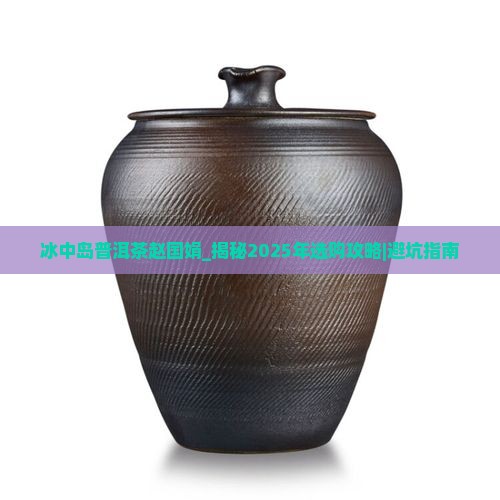 冰中岛普洱茶赵国娟