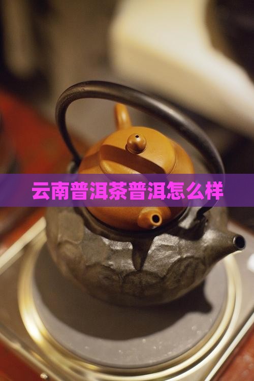 云南玛润普洱茶怎么样