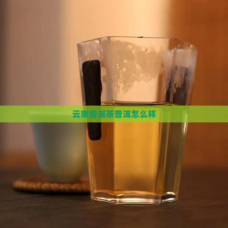 云南玛润普洱茶怎么样