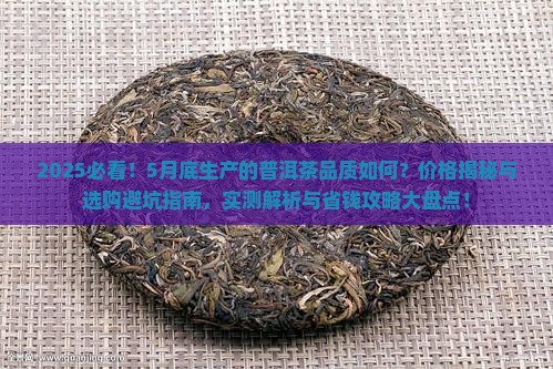 5月底生产的普洱茶