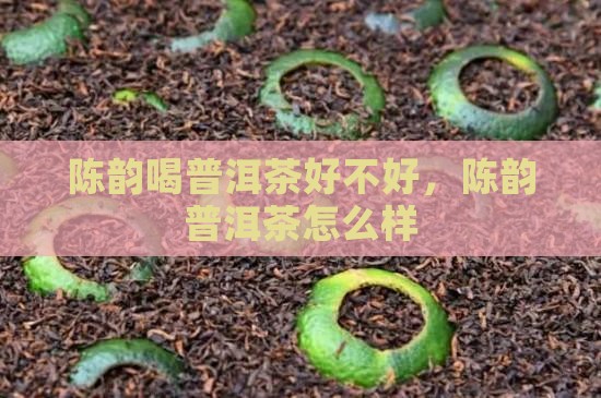陈韵喝普洱茶好不好