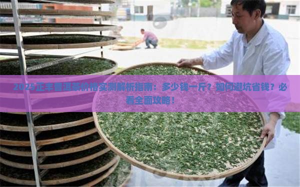 正丰普洱茶多少钱一斤