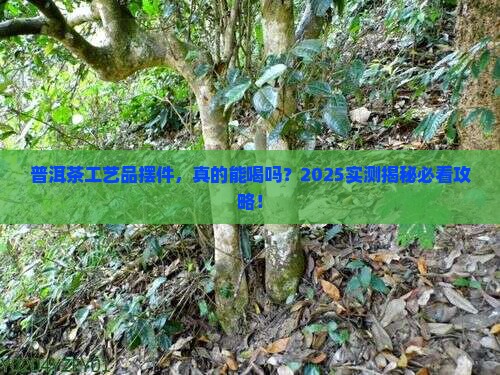 普洱茶工艺品摆件能饮用吗