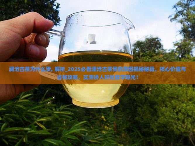 澜沧古茶为什么贵
