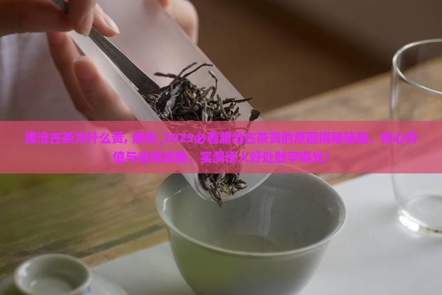 澜沧古茶为什么贵