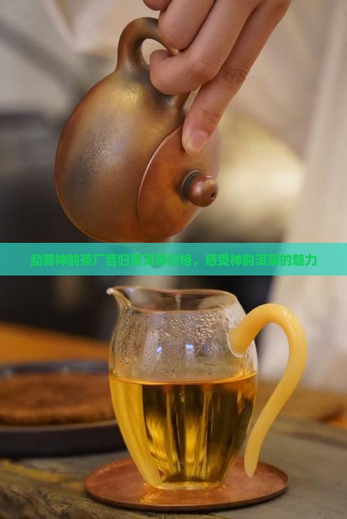 勐普神韵茶厂昔归熟普多少钱