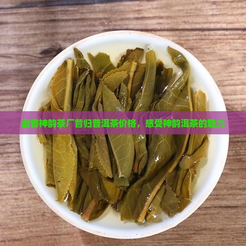 勐普神韵茶厂昔归熟普多少钱