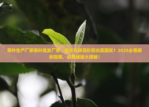 茶叶生产厂家茶叶批发厂家