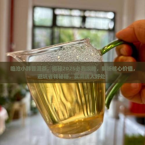 临沧小胖普洱茶