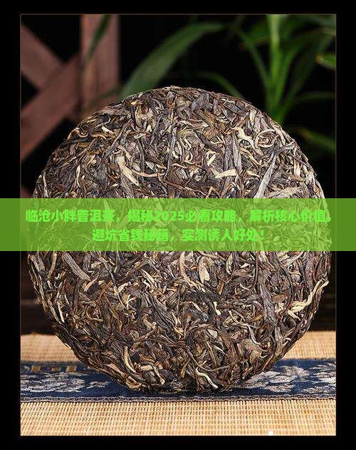 临沧小胖普洱茶