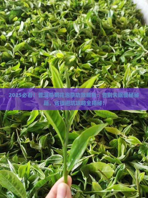 普洱茶菊花泡茶功效