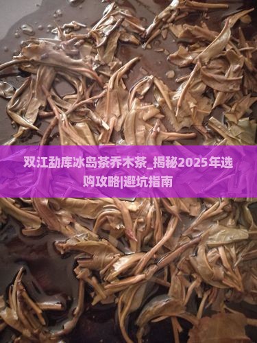 双江勐库冰岛茶乔木茶