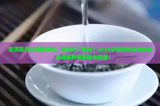 普洱茶马古道和资料