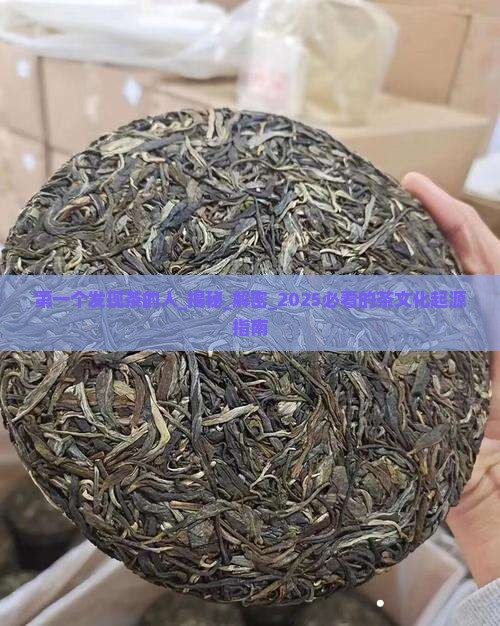 第一个发现茶的人
