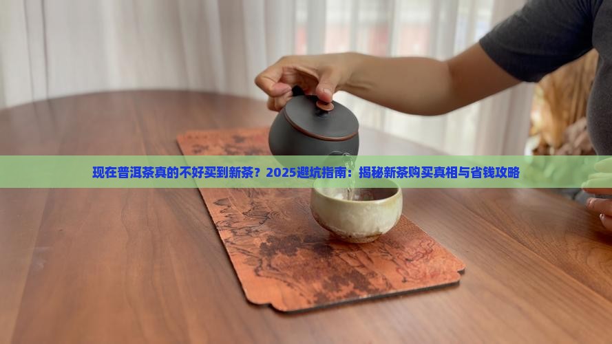现在普洱茶好不好买到新茶