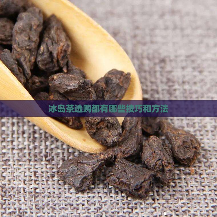 冰岛茶选购都有哪些技巧