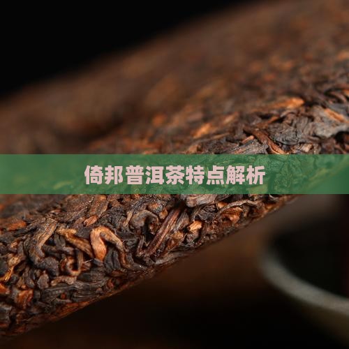 倚邦龙河过普洱茶特点