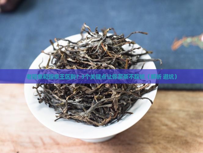 老班章和班章王区别