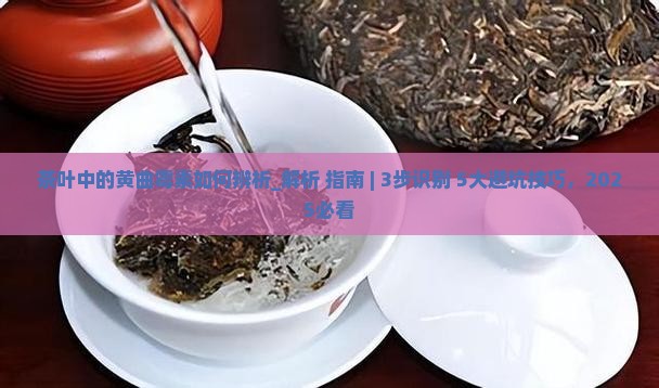 茶叶中的黄曲霉素如何辨析