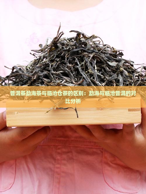 普洱茶勐海茶和临沧仓茶比较