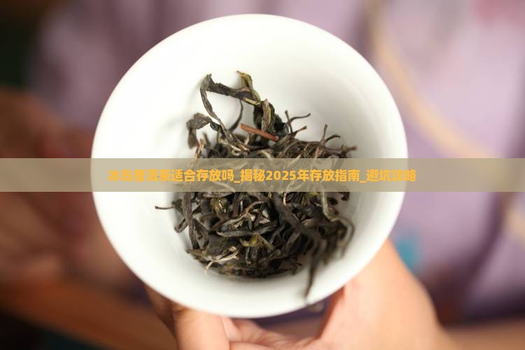 冰岛普洱茶适合存放吗