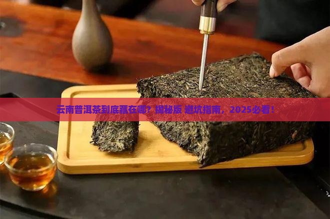 普洱茶云南跟哪里