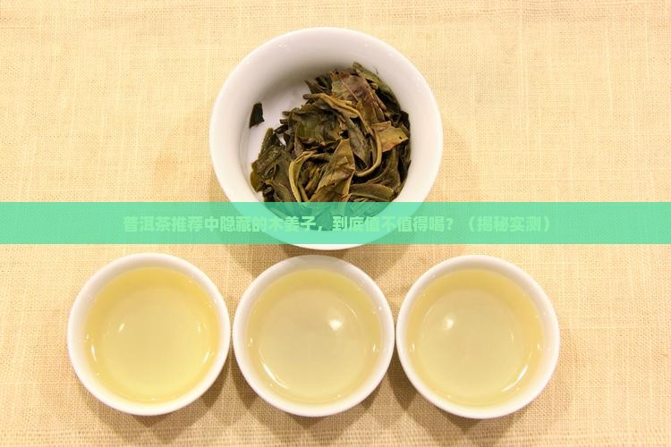 普洱茶推荐中的木姜子