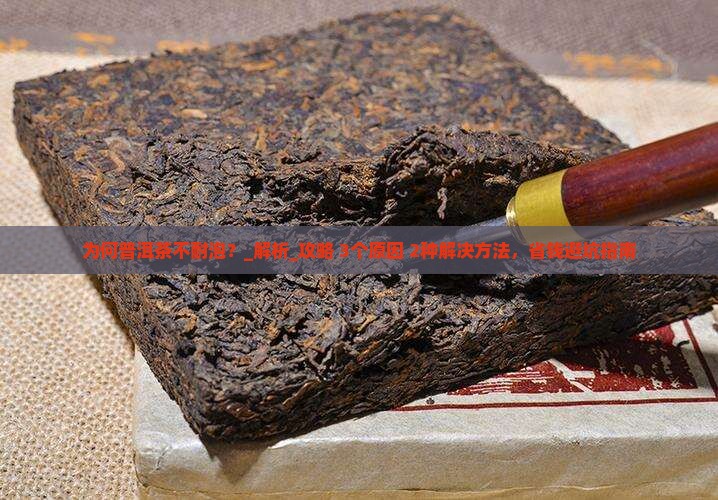 为何普洱茶不耐泡