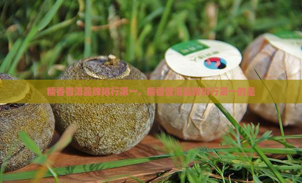 糯香普洱品牌排行第一
