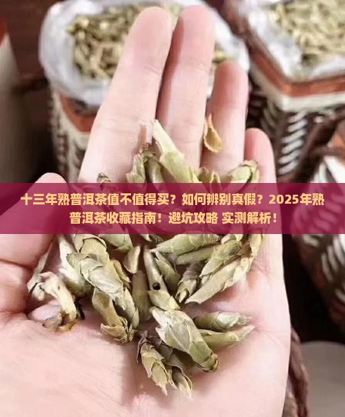 十三年的熟普洱茶好吗