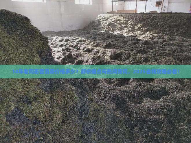 14年老同志普洱茶价格