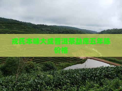 戎氏本味大成普洱茶五年陈