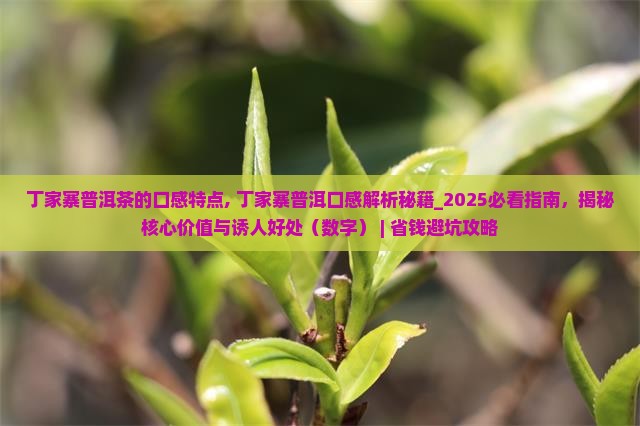 丁家寨普洱茶的口感特点