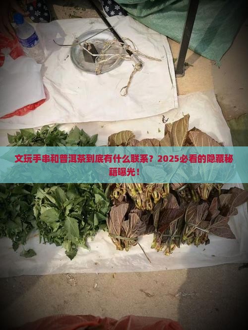 文玩手串普洱茶
