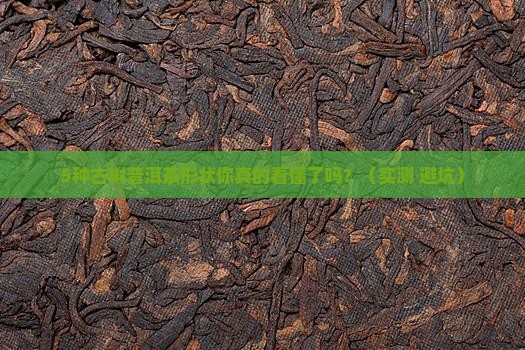 古树普洱茶的形状