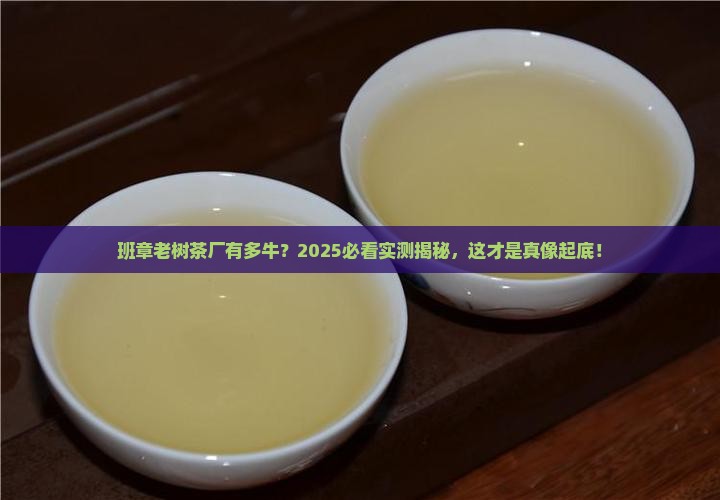 班章老树茶厂举世无双