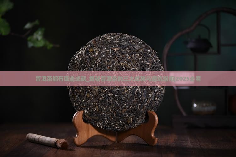 普洱茶都有哪些成就