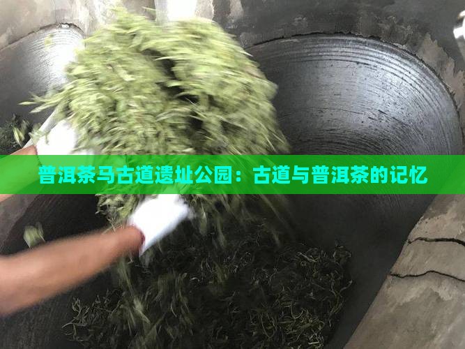 中茶普洱茶马古道