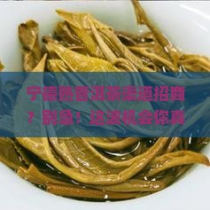 宁德熟普洱茶渠道招商