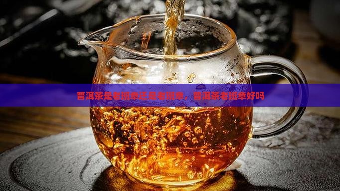 普洱茶是老班章还是老班章