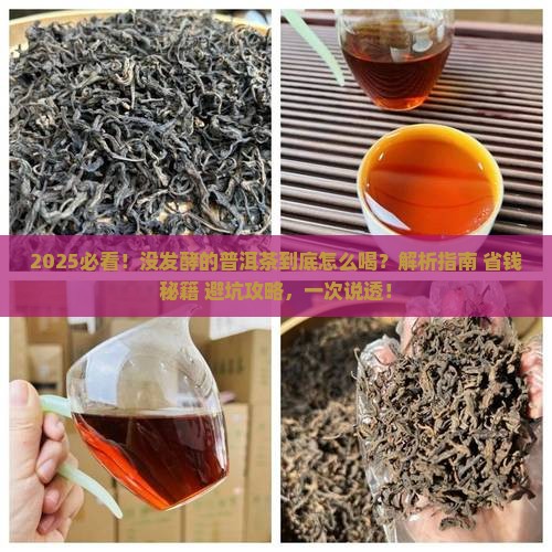 没发酵的普洱茶
