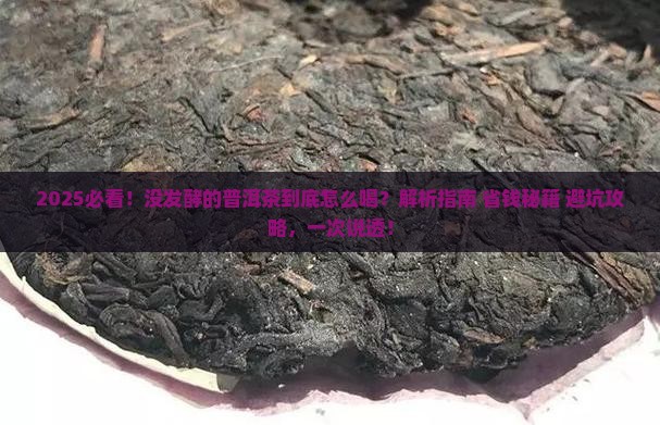 没发酵的普洱茶
